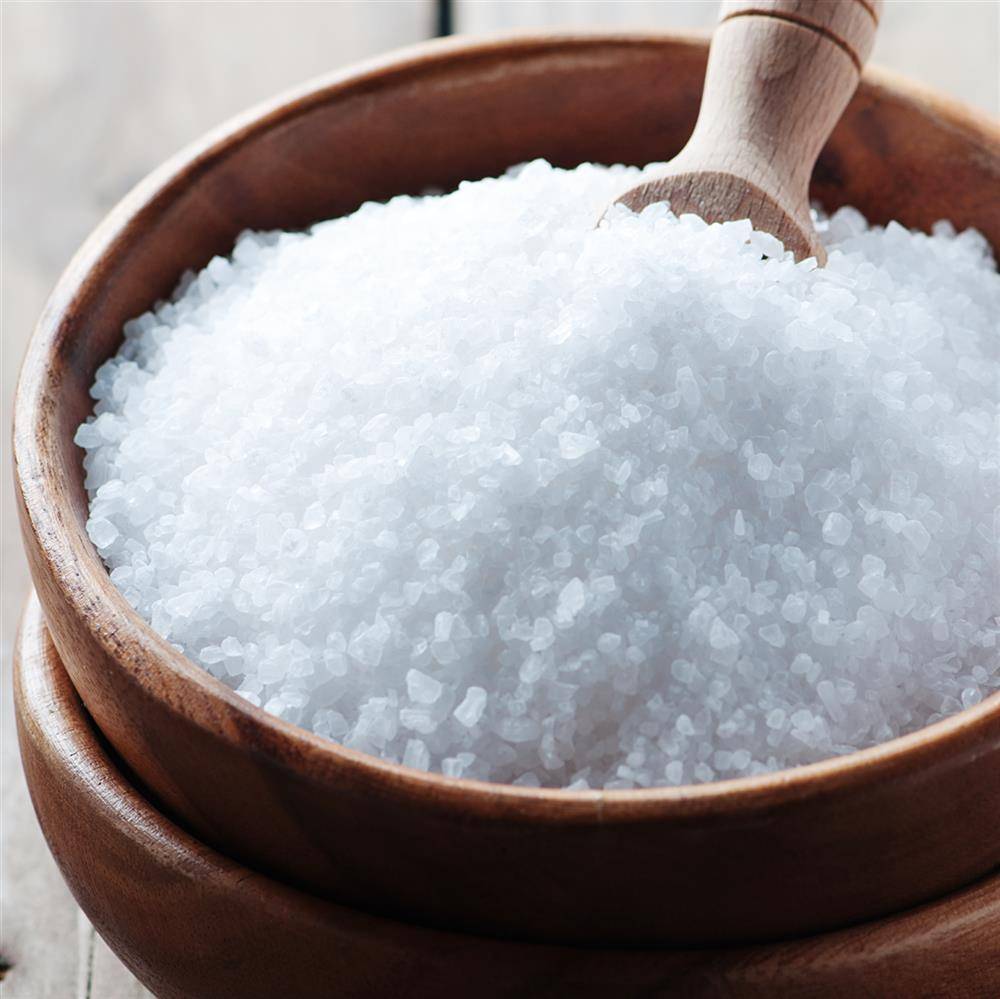 Fuduu.de - Nitritsalz / Pökelsalz mit Meersalz, 0,9%, 750 g Beutel