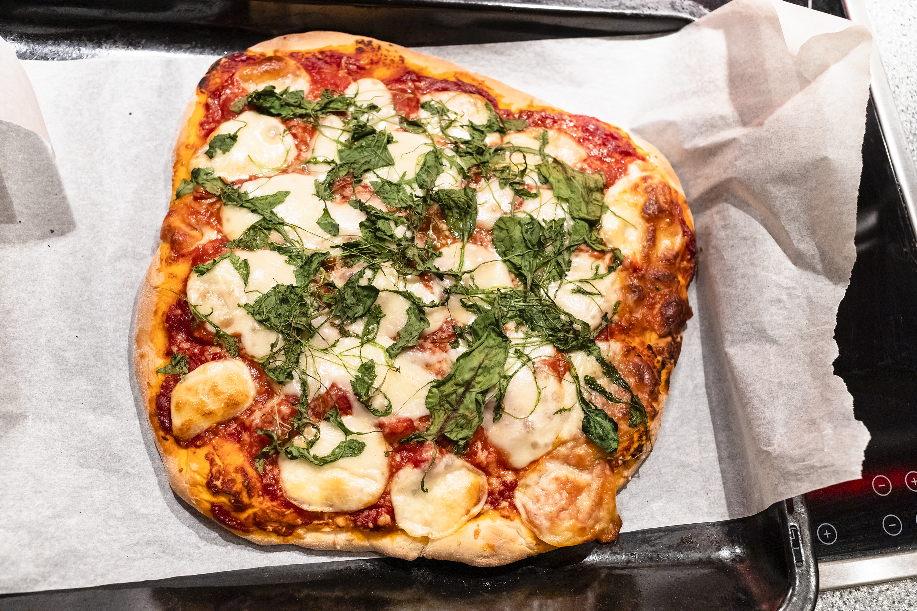 homemade-pizza-with-sliced-mozzarella-cheese-2022-01-19-00-21-17-utc