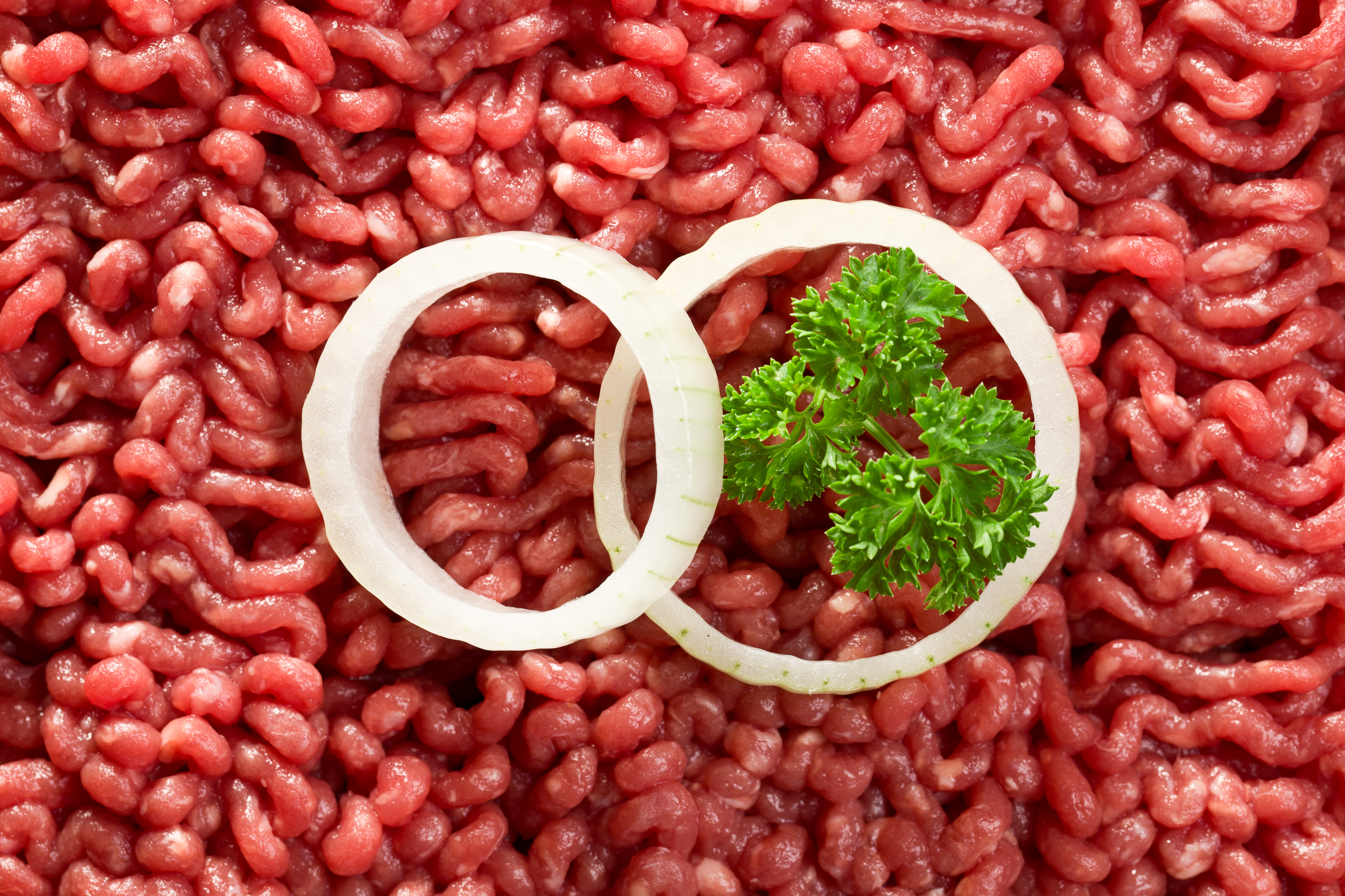 minced-meat-2021-08-26-16-24-29-utc